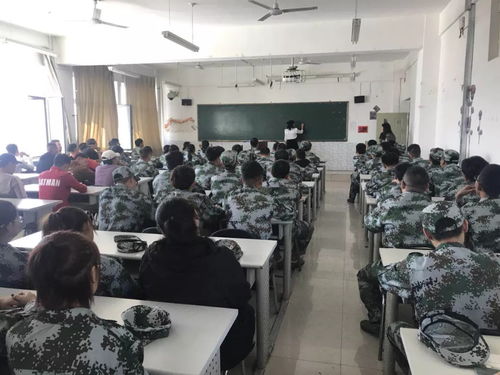 專業(yè)介紹 你所選的,不會錯的