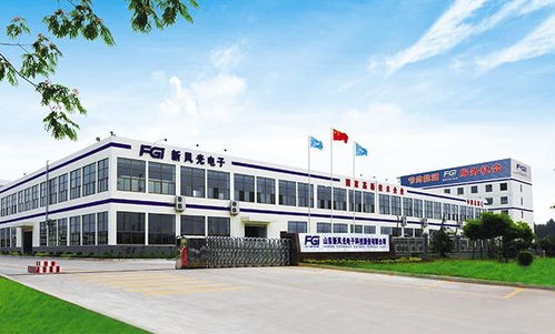 山東新風光電子科技發(fā)展