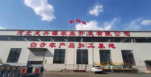 總投資23.86億元 武安16個項目開工