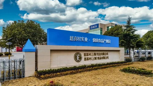 稅收收入40.03億元 金山鎮著力推進創新轉型與松原軟件開發